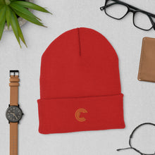 Load image into Gallery viewer, Cuffed Beanie
